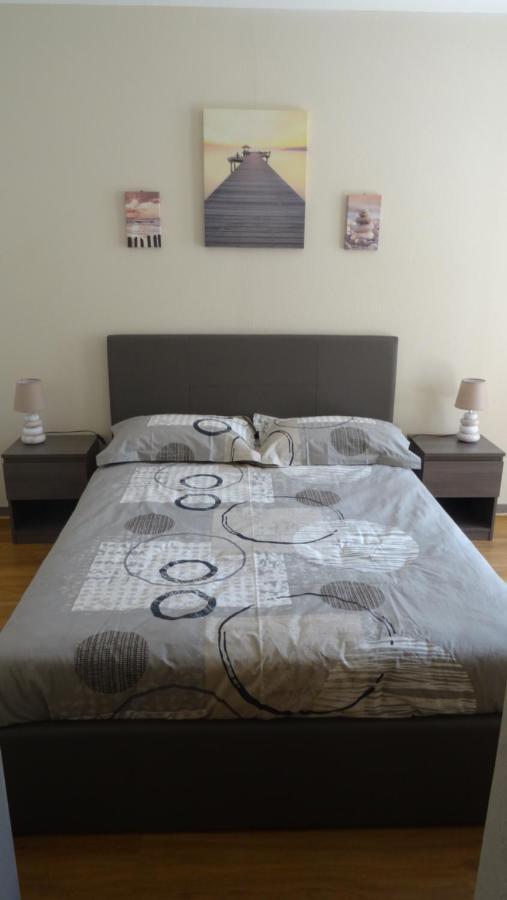 Appart T2 Standing Tout Confort Avec Balcon - Parking En Option Лион Экстерьер фото