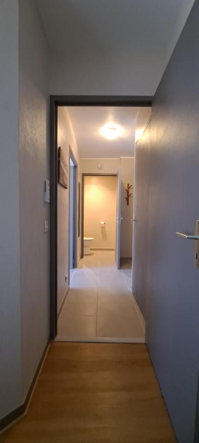 Appart T2 Standing Tout Confort Avec Balcon - Parking En Option Лион Экстерьер фото